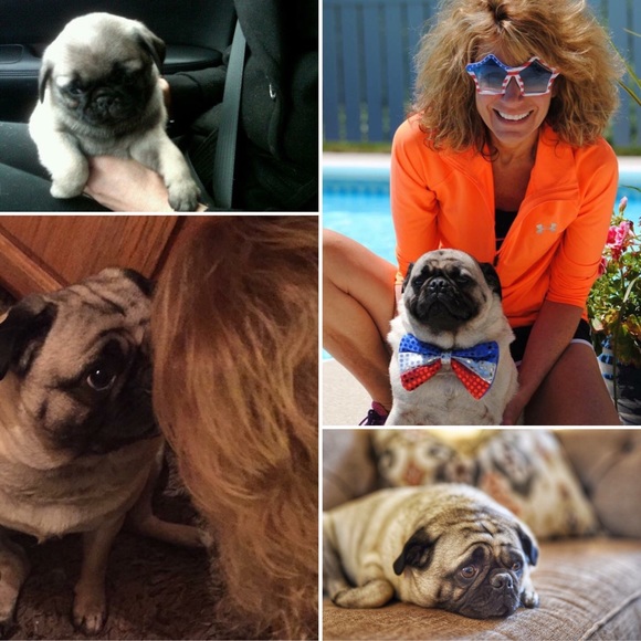 Meet your Posher, Cindy - Picture 2 of 4